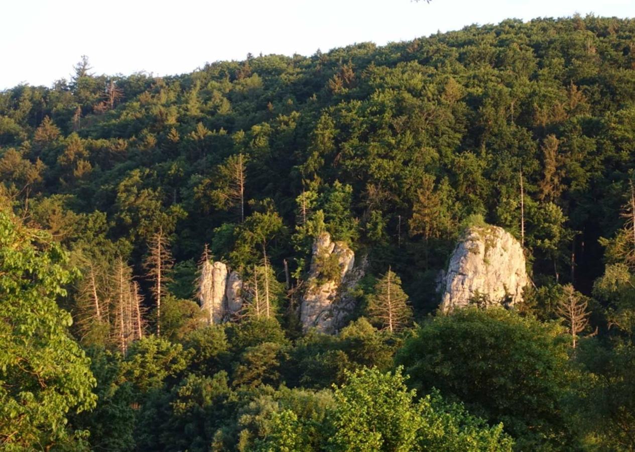 Fewo Lehner Riedenburg Extérieur photo